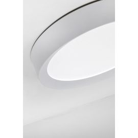 Rossini Plate Lampada da Soffitto - Parete  / Plafoniera Led