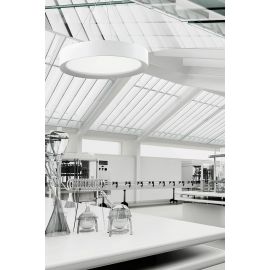 Rossini Plate Led Lampada a Sospensione